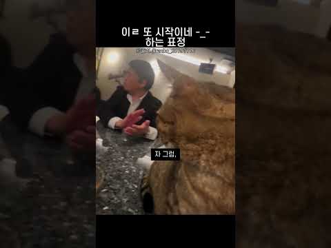 이거 또 시작이네 하는 표정 thumbnail