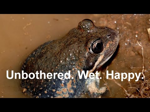 in my goop thumbnail