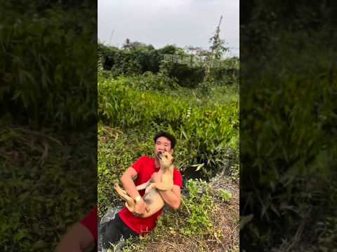 Funny Vibes - When fails turn into hilarious moments 😂 thumbnail