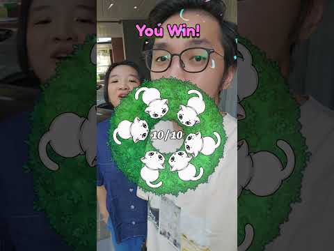TARO 6 KUCING! thumbnail