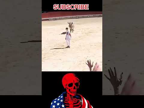 men rocked 🗿bull shocked 🤯 #shorts thumbnail