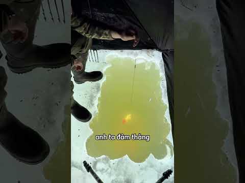 Nguyên lý vật lý đằng sau cú ném lao hoàn hảo 😮 thumbnail
