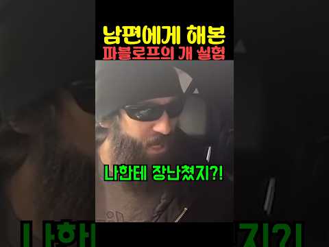 남편에게 해본 파블로프의 개 실험 thumbnail