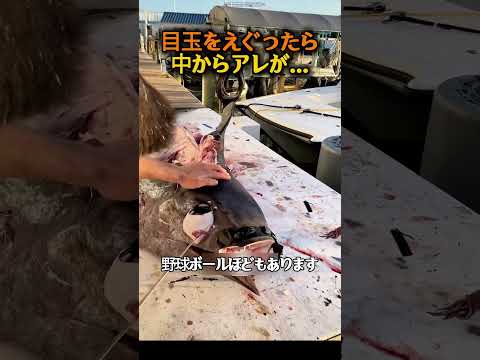 切った瞬間、中から透明な液体が… thumbnail