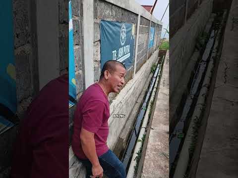Mama Kaget Papa K Selokan Ambil Bola Ara Jatuh Molos Jaring Lg Ltihan Sepak Bola. Hati-hati Bolong ⚽ thumbnail