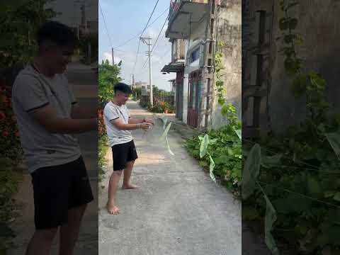 Hỏng hết dự án diều rồng #thadieu #dieusao #thadieusao  #shorts #caulongbocondua thumbnail