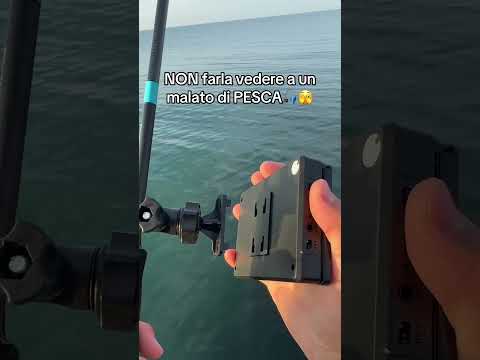 Commenta con “telecamera” per il link e tagga un appassionato di pesca👀🎣 thumbnail
