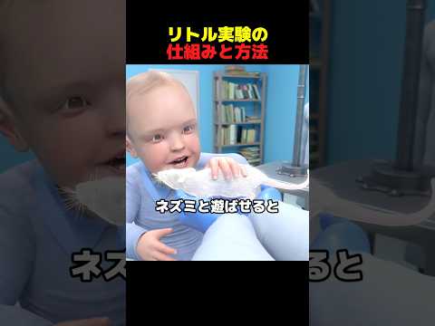 リトル実験の仕組みと方法 thumbnail