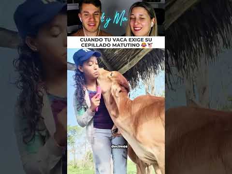 Tu mascota del campo es una consentida y exige su salon de belleza thumbnail