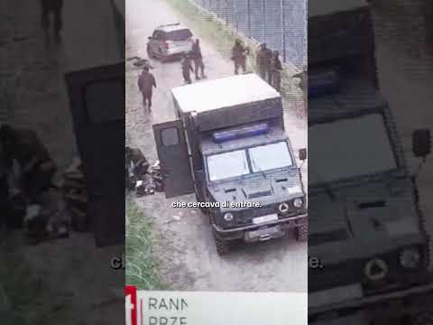 Come i migranti entrano illegalmente in Polonia #shorts #progettohappiness #poland thumbnail