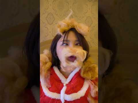 #exlittlebeans bullies his master.嗯#funnyvideo #funnycats thumbnail