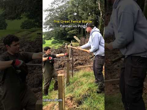 The Great Fence Battle ：Farmer vs Posts.#funny #farmanimalct #farming #farmer #farm #fence thumbnail