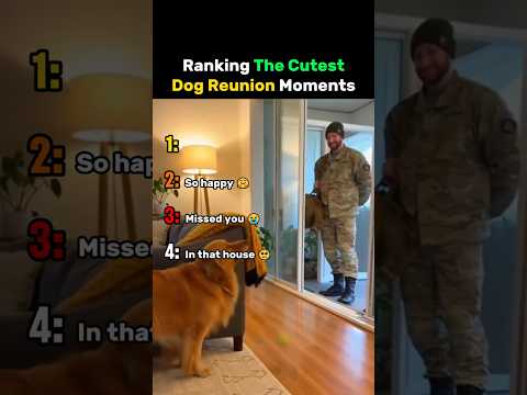 Ranking The Cutest Dog Reunion Moments #dog thumbnail