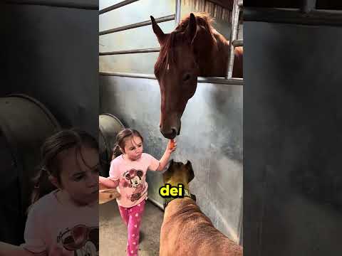 Questa bambina dà da mangiare ai cavalli senza PAURA! #shorts #shortsfeed thumbnail