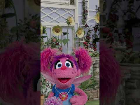 Abby's Outfit of the Day! #sesamestreet thumbnail