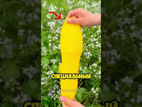 Он прошёл по грязи, но обувь осталась чистой! 😳 thumbnail