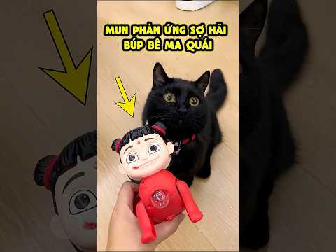 Bí Ẩn Đồ Chơi Ma Quái | Mun Cảnh Giác 😲 thumbnail
