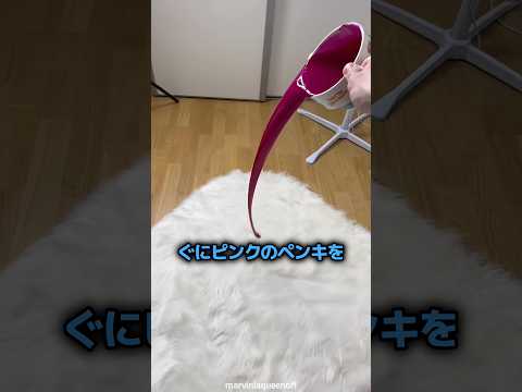 絶対に汚れないカーペットを汚したら起きたこと 🫟 thumbnail