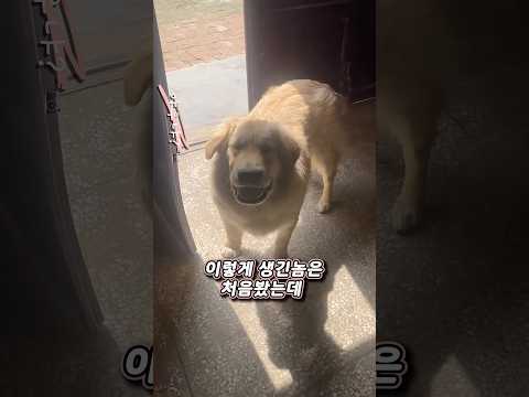 와 ㅋㅋㅋㅋㅋㅋㅋㅋㅋㅋ thumbnail