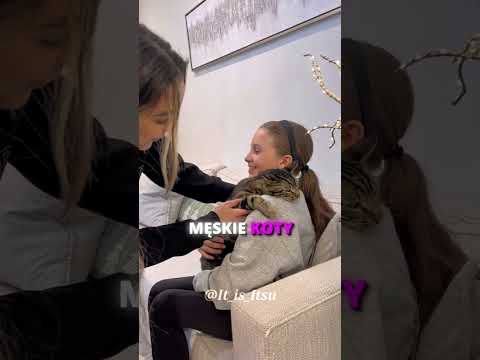 RÓŻNICA MIĘDZY ŻENSKIMI I MĘSKIMI KOTAMI! #shorts thumbnail
