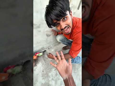 Pria itu menyelamatkan anak-anak ayam kadal. thumbnail