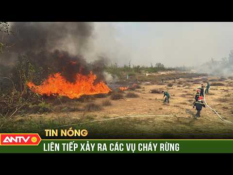 Cháy rừng ven biển ở Quảng Trị, hàng trăm người dập lửa | ANTV thumbnail