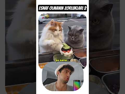 Esnaf Olmanın Zorlukları 2! ? thumbnail