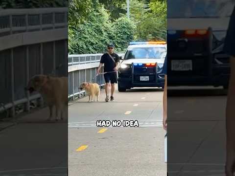 His Dog Noticed the Cops Before He Did 😂 #shorts thumbnail