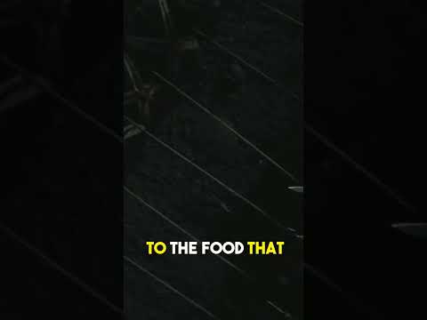Did you know that in Game Of Thrones... thumbnail