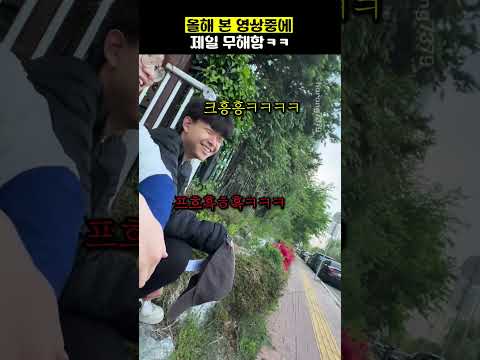 올해 본 영상중에 제일 무해함ㅋㅋ thumbnail