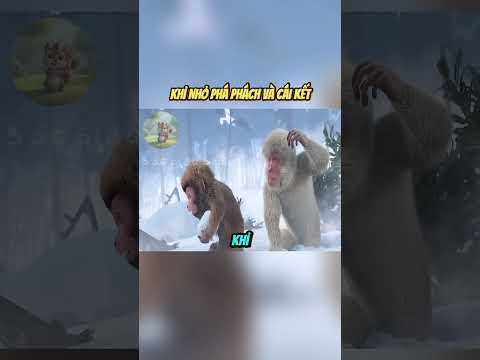 Khỉ Già Và Suối Nước Nóng!! #shorts #trending #review #reviewphim thumbnail