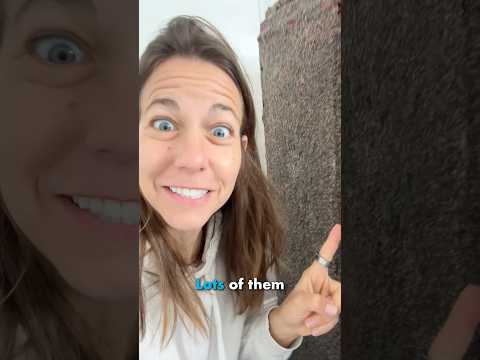 Living Piano Has ROOTS!! thumbnail