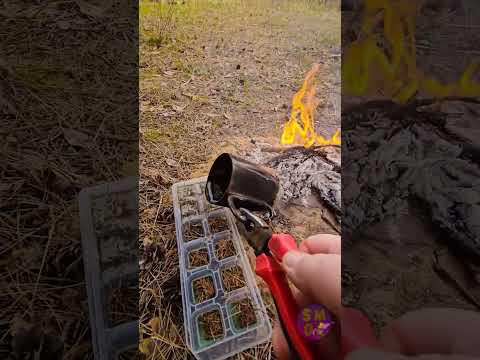 Igniting Creativity: Juniper and Candle Fusion! thumbnail