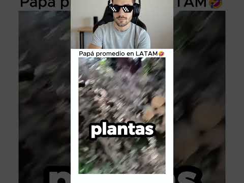 Intenta No reirte Pt.194 ??? #intentanoreír #siteriespierdes #risas #gracioso #chistoso thumbnail