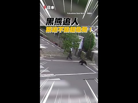 【死裡逃生】黑熊闖福島鋼鐵廠飛撲狠咬員工　驚險畫面曝光！ #Shorts thumbnail
