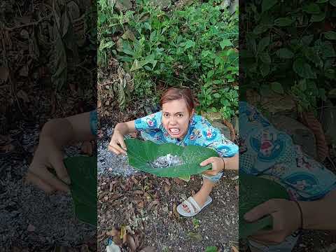Don't eat it, it's dirty. thumbnail