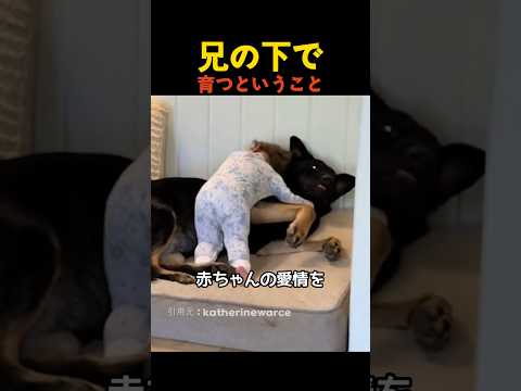 兄の下で育つということ thumbnail