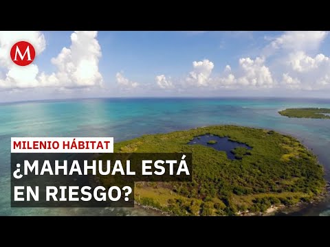 ¿Alicia Bárcena rechaza proteger Mahahual? | Milenio Hábitat thumbnail