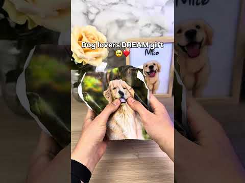 Watch until the end for the surprise ?? #pets #dogs #dogsoftiktok #dogloss #giftsideas thumbnail