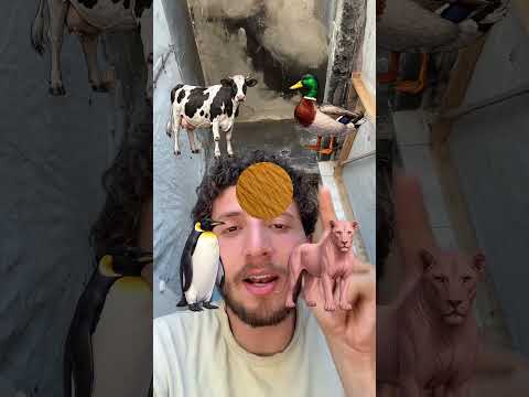 فلتر تلبيس الحيوانات !!! thumbnail