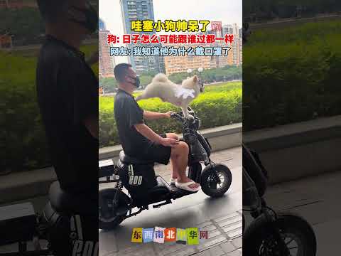 狗子: 所以日子怎么可能跟谁过都一样！ thumbnail
