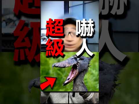 最嚇人的鳥叫聲 thumbnail
