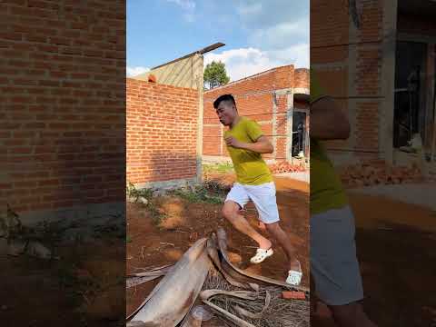 CCT -Chân tôi bị cháy nắng || My legs are sunburned. thumbnail