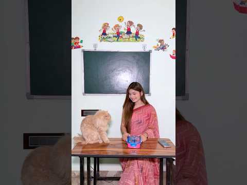Monty ne banaya Handwash😱|| Jashvi Vishvi || #shorts #trending #youtubeshorts #viral thumbnail