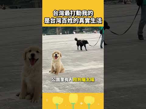 台灣最打動我的，是台灣老百姓的真實生活 thumbnail