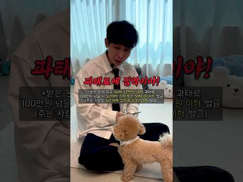 자꾸 뇌물 주는 강아지의 최후 #시트콤 thumbnail