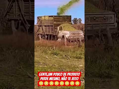 um pouco de perda,tem mesmo na colheita.#caminhão #caminhoneiro thumbnail