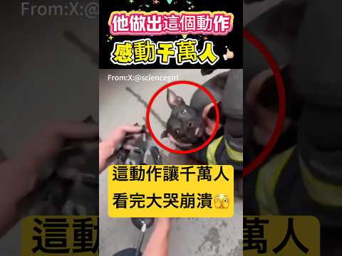 他做出這個動作！感動千萬人 🫣 #動作 #感動#shorts 小林Lin’s life thumbnail