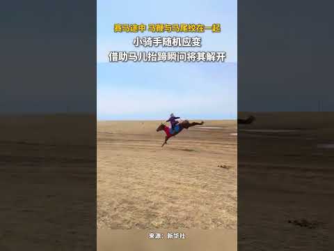 賽馬途中，馬鞭與馬尾絞在一起。 小騎手隨機應變借助馬兒抬蹄瞬間將其解開 thumbnail