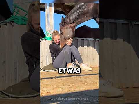 Das Pferd tröstete sie… ohne zu wissen warum ❤️‍ thumbnail